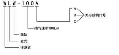 WLW往復(fù)泵型號(hào)說(shuō)明
